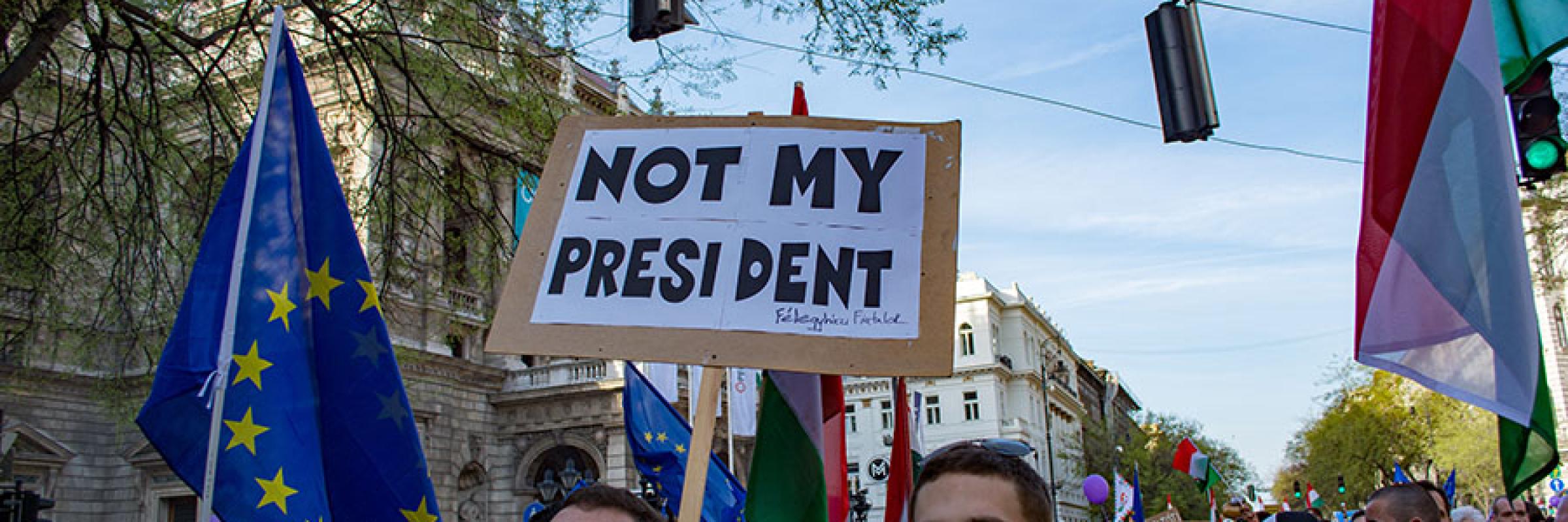 a group of protestors in Hungary holding placards and flags