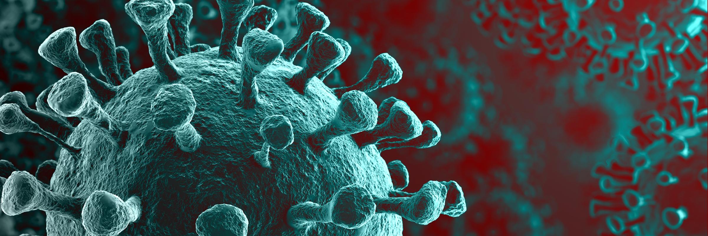 Close up image of a 3D rendering of the Coronavirus